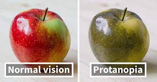But they enhance and partially correct certain color vision deficiencies of colorblind individuals. You Ll Be Amazed How People With Color Blindness See The World 57 Pics Bored Panda