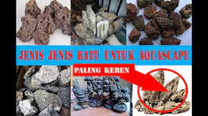Tanaman java moss mempunyai nama ilmiah taxiphyllum barieri. Jenis Jenis Batu Aquascape Youtube
