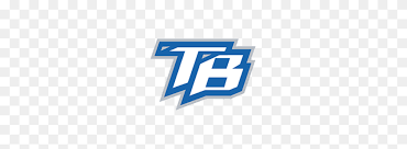 The new look was created by sme branding. Tampa Bay Lightning Concept Logo Sports Logo History Tampa Bay Lightning Logo Png Stunning Free Transparent Png Clipart Images Free Download