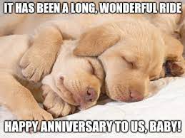 And remind you you are absolutely not alone! Funny Happy Anniversary Messages For All
