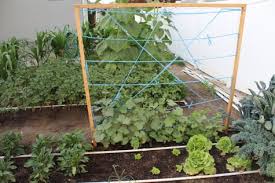 Erect your trellis using bamboo poles or posts and wire mesh or chicken wire. 25 Functional Diy Cucumber Trellis Ideas Balcony Garden Web