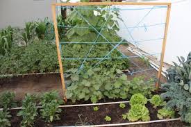 Check spelling or type a new query. 25 Functional Diy Cucumber Trellis Ideas Balcony Garden Web