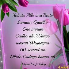 Photos of couples wallpaper, love photos only, love photos of lovers features of this message above thank you so much for watching this video by sweet love text messages channel. 23 Jaceyl Ideas Somali Quotes Love Sms My Love