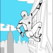 You can print or color them online at getdrawings.com for absolutely free. Pin On Brett