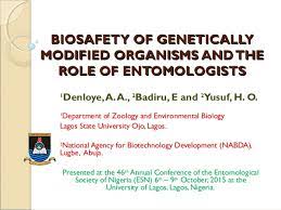 Biosafety Of Gmos And The Role Of Entomologists