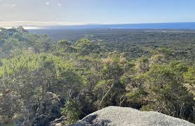 Wukalina (Mount William) Summit Track, Tasmania, Australia