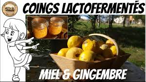 Lactofermentation Des Coings Au Miel Et Gingembre Recette Et Bienfaits En 2020 Coing Gingembre Miel