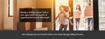 Realestatepartners Summit Utilities Inc