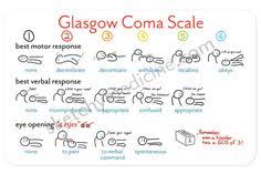 The modern structured approach to assessment of the glasgow coma scale improves accuracy, reliability and communication. Ihtisham Ul Haq Ihtisham1 Profile Pinterest