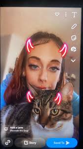 Lost dog Champ in Jacksonville, FL