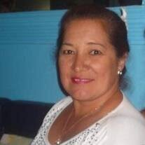 Obituary, Visitation & Funeral Information