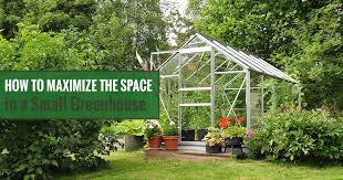The environment and climatic conditions inside the greenhouse are regulated according to the plant/plants that are being grown. Small Greenhouse How To Maximize Your Space