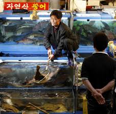 The popular seafood has a number of other names here in korea: Sudkorea Wenn Das Essen Vom Teller Zu Kriechen Versucht Welt