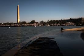 d.c.'s tidal basin is falling prey to