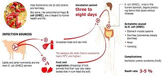 Symptoms of E. coli infection | Marler Clark