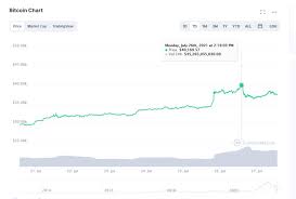 Now bitcoin has become a household name as institutions and. Cryptocurrencies Are Rebounding Should You Invest In Bitcoin Ethereum Or Dogecoin Right Now