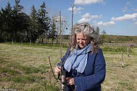 Escape to the chateau's clive, karen and abbie bio it consultant clive and wife karen had always dreamed of living in france. Couple Follow Tv S Dick And Angel Strawbridge With The Purchase Of 385 000 French Chateau Readsector