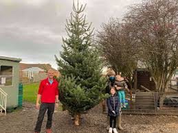 Thieves Nick Eastchurch Christmas Tree Then Villagers Get A Surprise