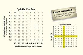 Plant Watering Guide Water Use It Wisely