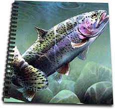 Oftentimes she will talk about various forms and varieties of style and fashion. Amazon Com 3drose Rainbow Trout Drawing Book 8 By 8 Db 3462 1 Arts Crafts Sewing