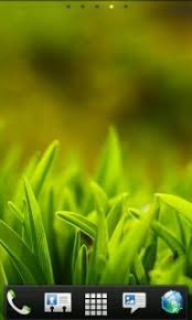 Hello i paid for a 2 year mem. Download Free Grass Field Nature Android Theme Mobile Theme Htc Mobile Theme Downloads Hundreds Of Free Dream M Android Theme Christmas Ringtones Phone Themes