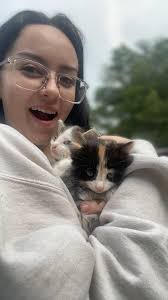 Kittens for rehoming in Fort Worth area