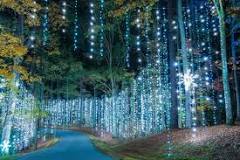 Drive-Thru Holiday Lights in Georgia (2024) | ExploreGeorgia.org