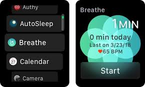 How To Measure Heart Rate Variability Hrv On Your Apple