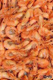 L Orange A Rungis La Crevette Poisson Orange Produits De Saison