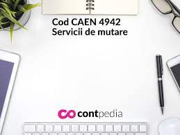 Si am urmatoarele intrebari :1. Cod Caen 4941 Transporturi Rutiere De MÄƒrfuri