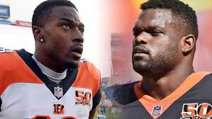 Bengals' Geno Atkins, A.J. Green voted to Pro Bowl team