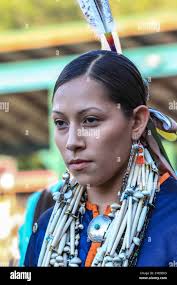 Native shields hi-res stock photography and images