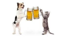Yappy Hour