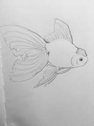 Pin By Charlotte Landron On Vyshivka Giloshirovanie I T D Fish Drawings Fish Art Goldfish