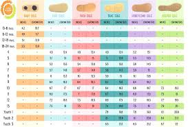 30 studious stride rite socks size chart