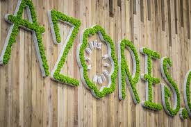 More images for stands feria buro » Ihr Logo Aus Moos Identity Spainstyle Lasst Ihr Logo Wachsen