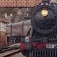 THE POLAR EXPRESS Train Ride at South Devon Railway event image