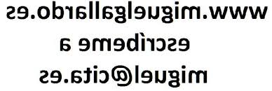 Dr. (PhD) Miguel Gallardo Tel. (+34) 902998352 PERITO ...