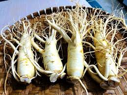 Những người không nên dùng nhân sâm [Tin nóng từ chuyên gia]