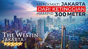 Hormon ini merupakan hormon yang mengendalikan pertumbuhan tanaman. Bunga Matahari Selalu Menghadap Matahari Kumpulan Info