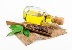 Organic Camellia Oil | Green Tea Oil | Shay and Company