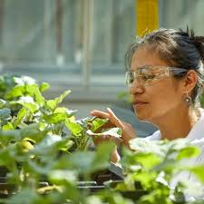 Investment Attraction Strategy