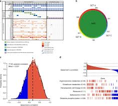 Model coco (可可) (40 photos) Proteogenomics And Hi C Reveal Transcriptional Dysregulation In High Hyperdiploid Childhood Acute Lymphoblastic Leukemia Nature Communications X Mol