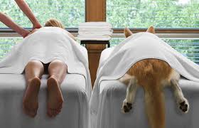 We did not find results for: Pin On Animal Naturopathy Medicine