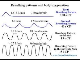 Normal Respiratory Rate Volume Breathing Chart