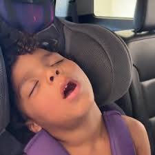 David Reader, Defensive Tackle, Cincinnati Bengals, Clemson Tigers