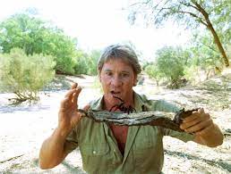 September 2006 vor der küste von port douglas Peta Disst Steve Irwin Und Erntet Shitstorm News Heute At