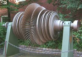 Image result for Turbina longiflora