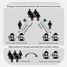 Gender inequality in workloads explained by operational sex ratio: iScience
