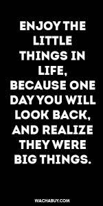 Enjoy The Little Things In Life For One Day You Will Realize Inspiration Quote Enjoy The Little Things In Life Because One Day You Will Look Back And Realize They Inspirational Quotes Life Quotes Meaningful Quotes